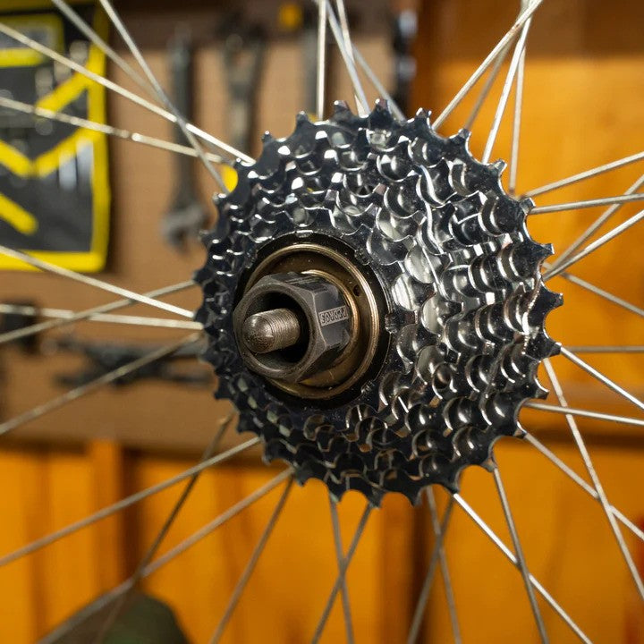 Freewheel Socket Multi-Speed 12-Spline x 23mm