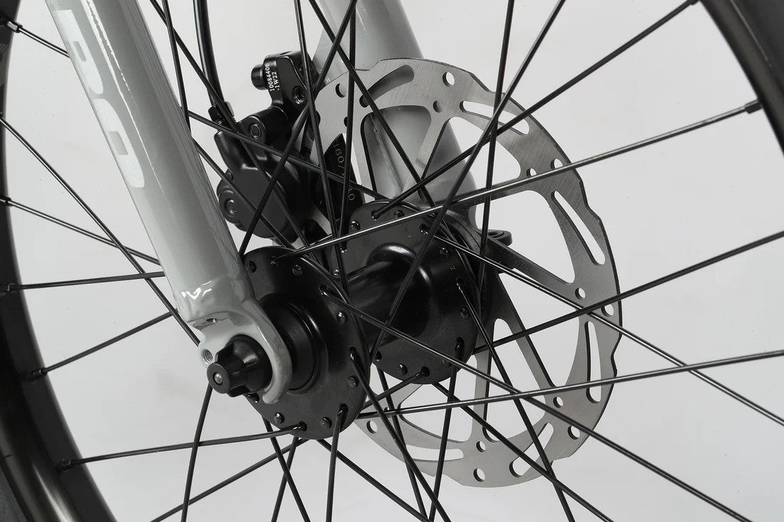 Haro Bikes Kids Flightline 20" + DS Grey