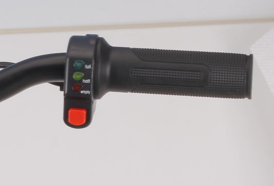 Throttle 16" Balance E Bike Charged